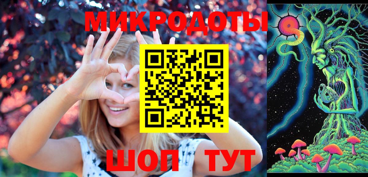 Реутов  Галлюциногенные грибы Psilocybine cubensis  Вход с VPN 